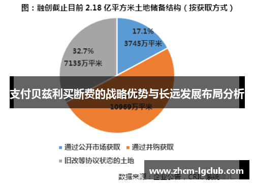 支付贝兹利买断费的战略优势与长远发展布局分析