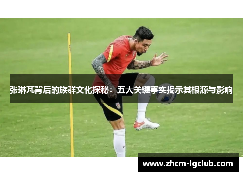 张琳芃背后的族群文化探秘：五大关键事实揭示其根源与影响