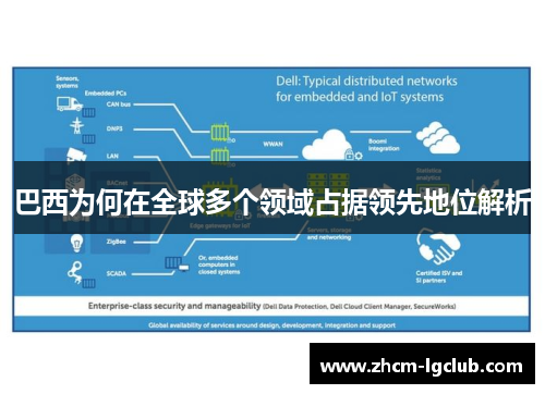 巴西为何在全球多个领域占据领先地位解析