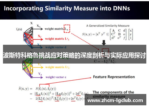 波斯特科格鲁挑战应对策略的深度剖析与实际应用探讨