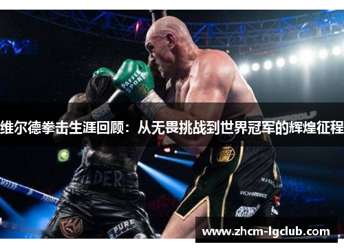 维尔德拳击生涯回顾：从无畏挑战到世界冠军的辉煌征程